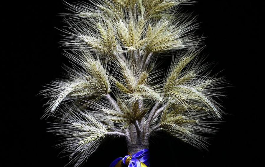 Як українці у давнину відзначали Обжинки: значення свята, традиції та обряди