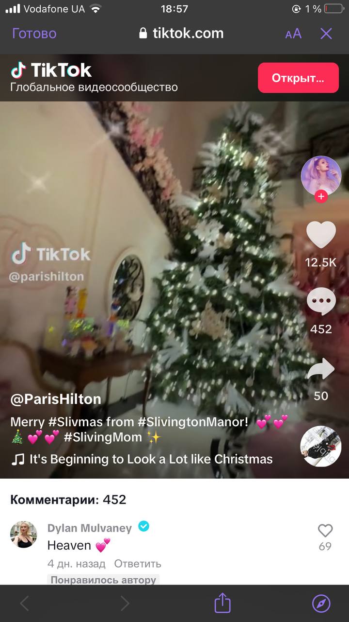 Періс Хілтон показала, як прикрасила свій будинок до Різдва: "рожеве" відео