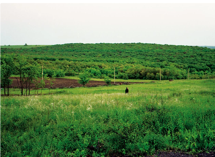 Всехсвятский скит Святогорской Лавры: как выглядел уникальный храм до обстрела рашистами