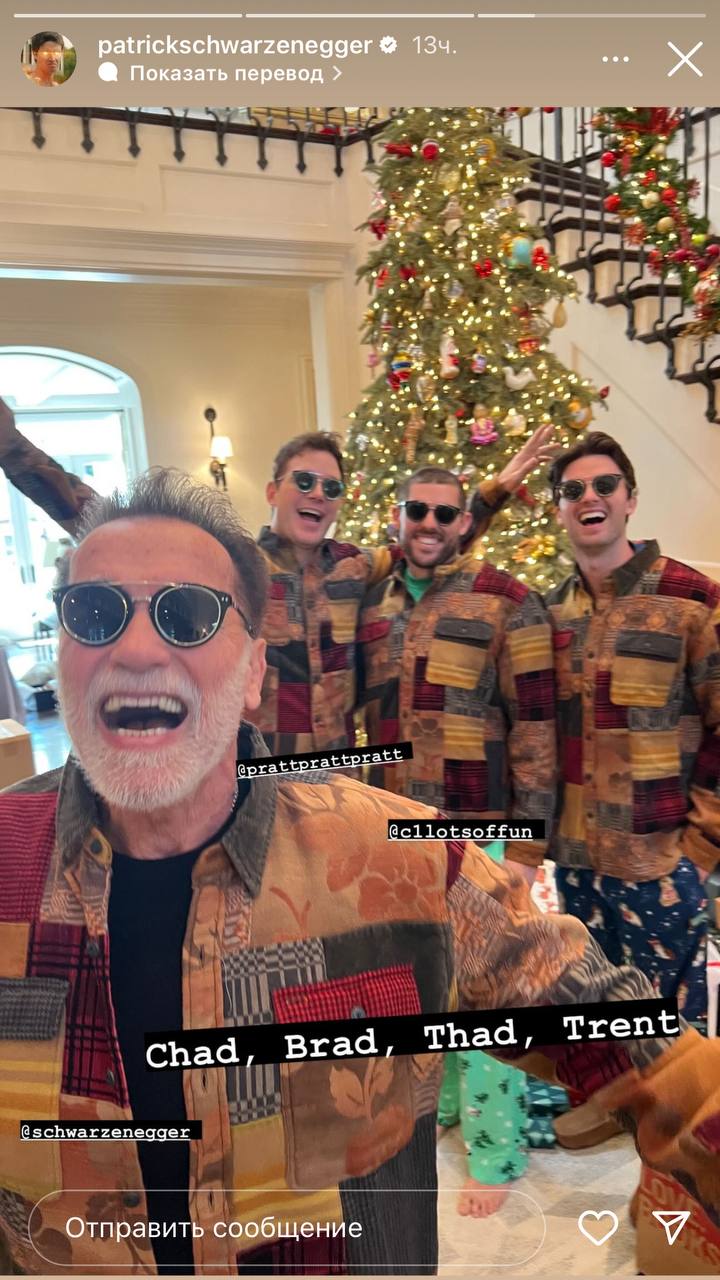Арнольд Шварценеггер устроил костюмированное рождественское пати в кругу семьи (фото)