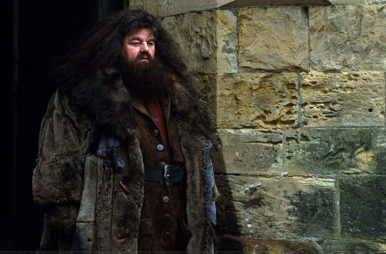 Чи знали ви, що персонажів "Гаррі Поттера" могли втілити інші актори. Хто вони