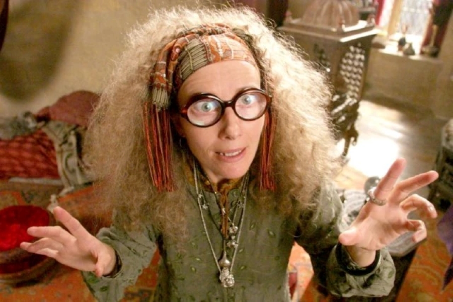 Чи знали ви, що персонажів "Гаррі Поттера" могли втілити інші актори. Хто вони