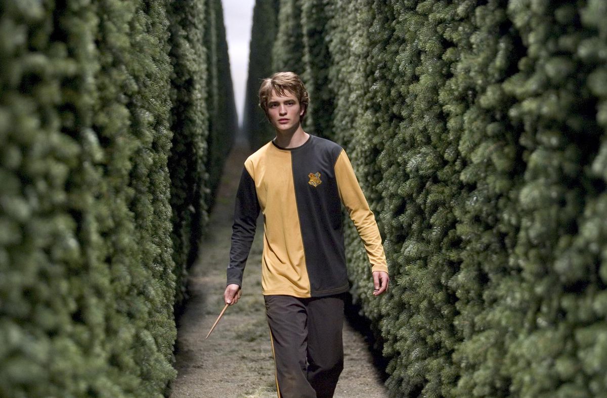 Чи знали ви, що персонажів "Гаррі Поттера" могли втілити інші актори. Хто вони