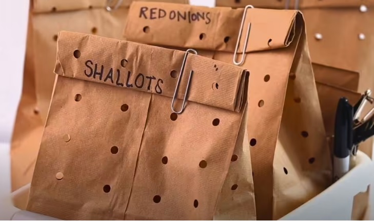 Названо найкраще місце для зберігання цибулі та часнику. Пліснява їм не загрожує