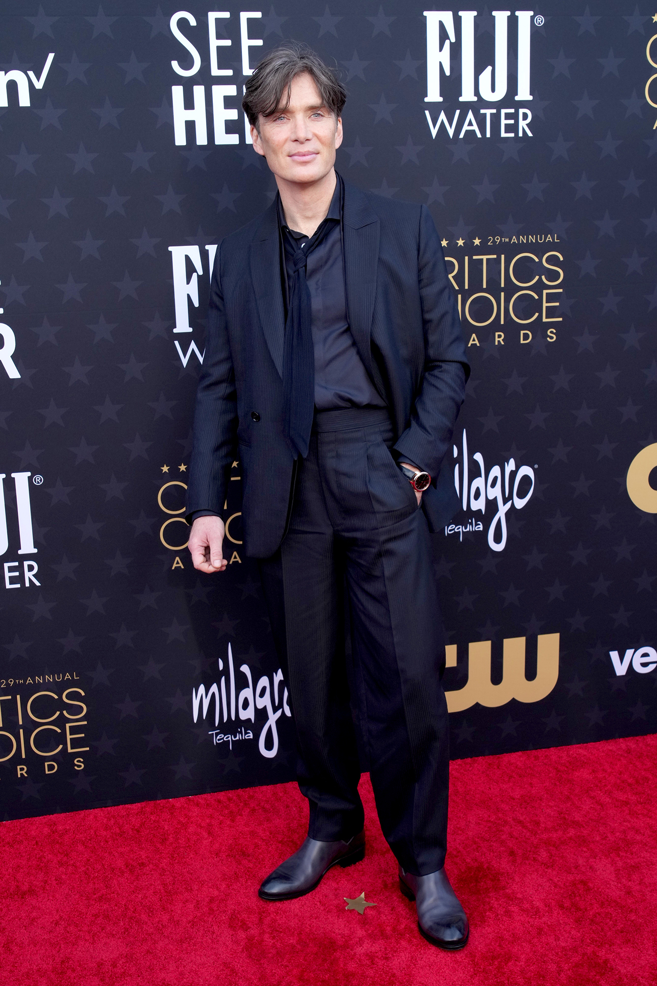 Лучшие образы звезд на красной дорожке Critics Choice Awards (фото, видео)