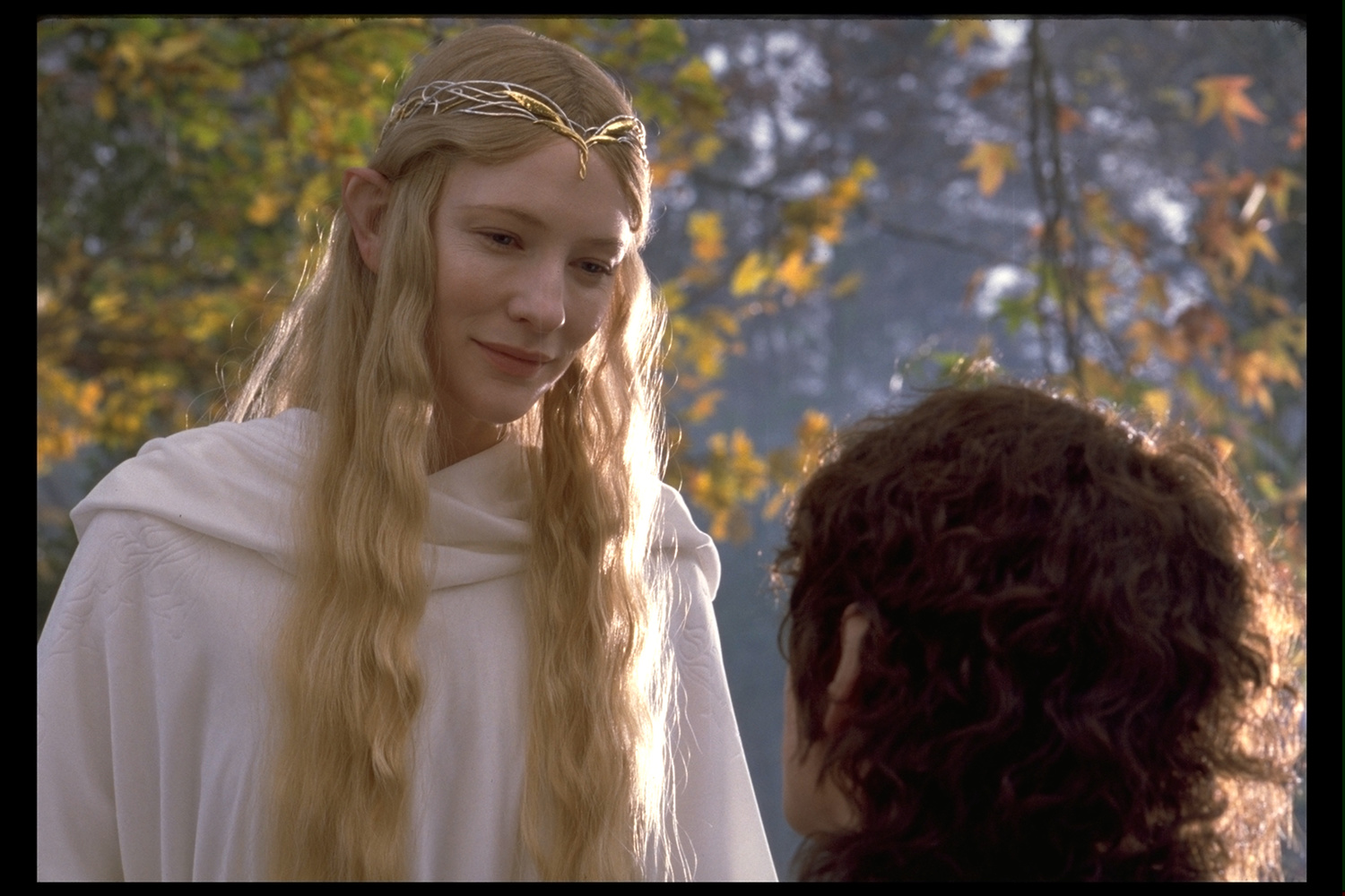 Як змінились головні актори трилогії "Володар перснів" (фото)