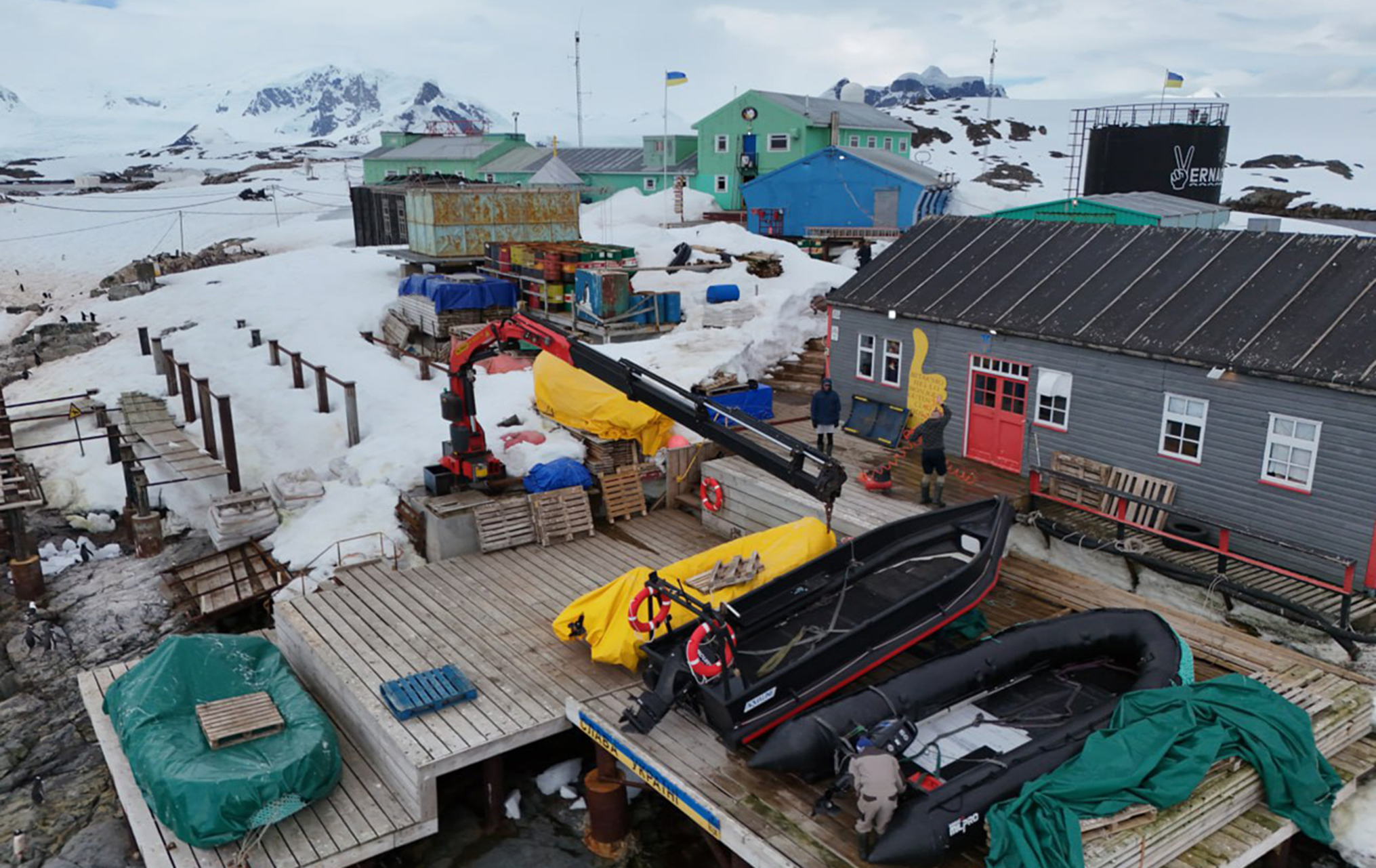 Пінгвіни, ізоляція і полярна ніч: як живуть полярники на станції "Академік Вернадський"