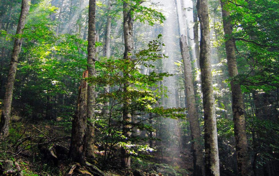 Європейські фіорди на Балканах: чому ви повинні побачити Чорногорію хоча б раз у житті