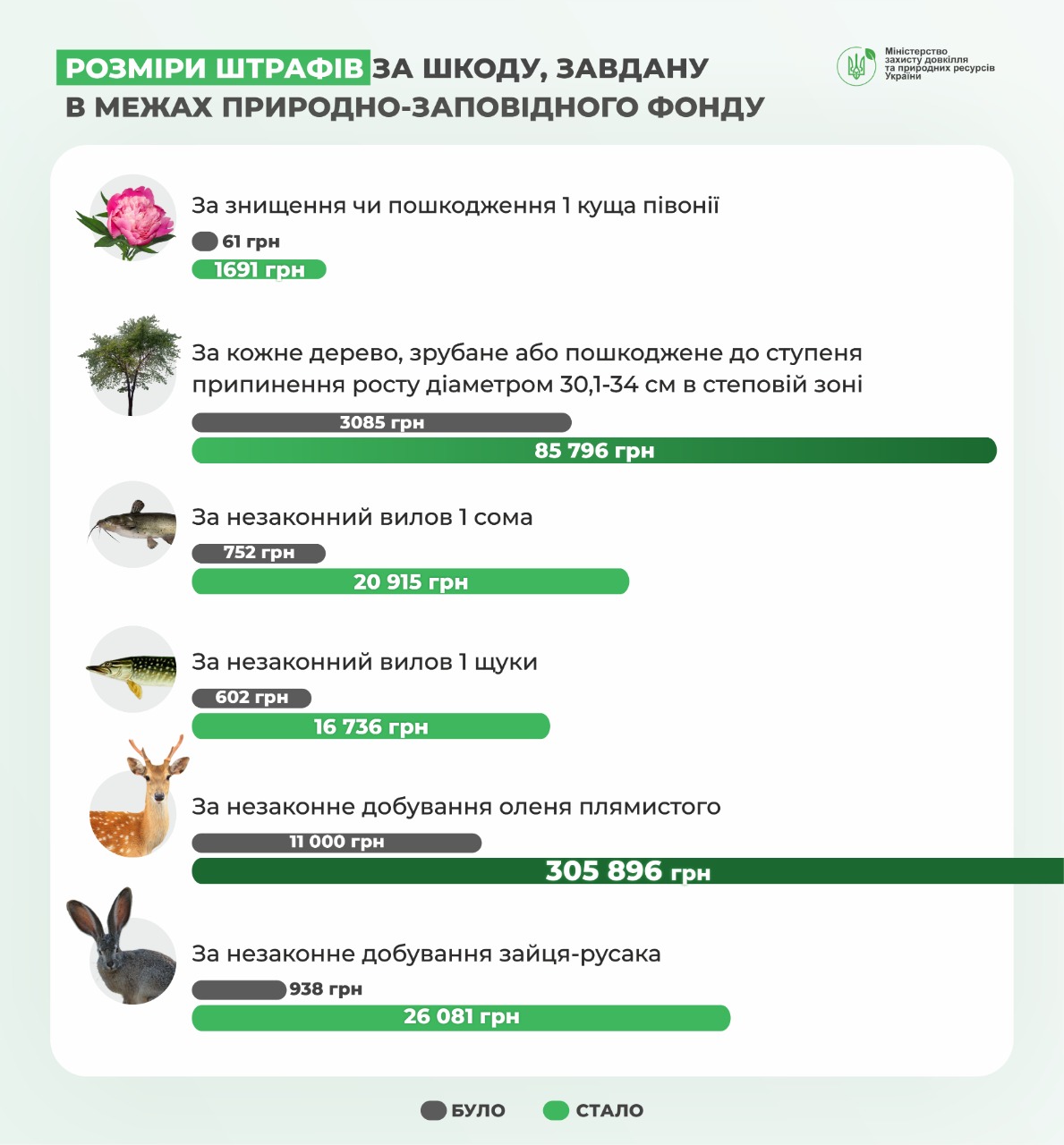 Штрафи понад 300 тисяч гривень. В Україні посилили покарання для браконьєрів