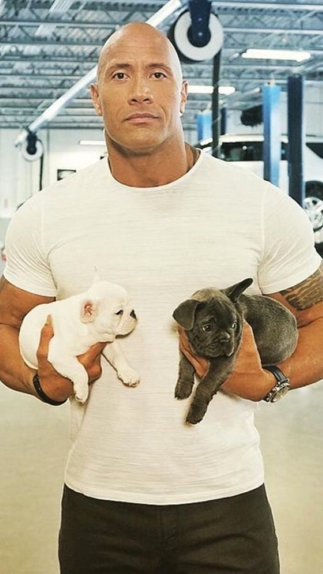 Брутальні голлівудські актори, які тануть поруч зі своїми французькими бульдогами