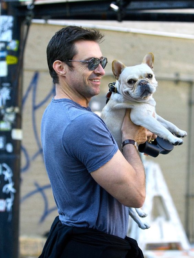 Брутальні голлівудські актори, які тануть поруч зі своїми французькими бульдогами