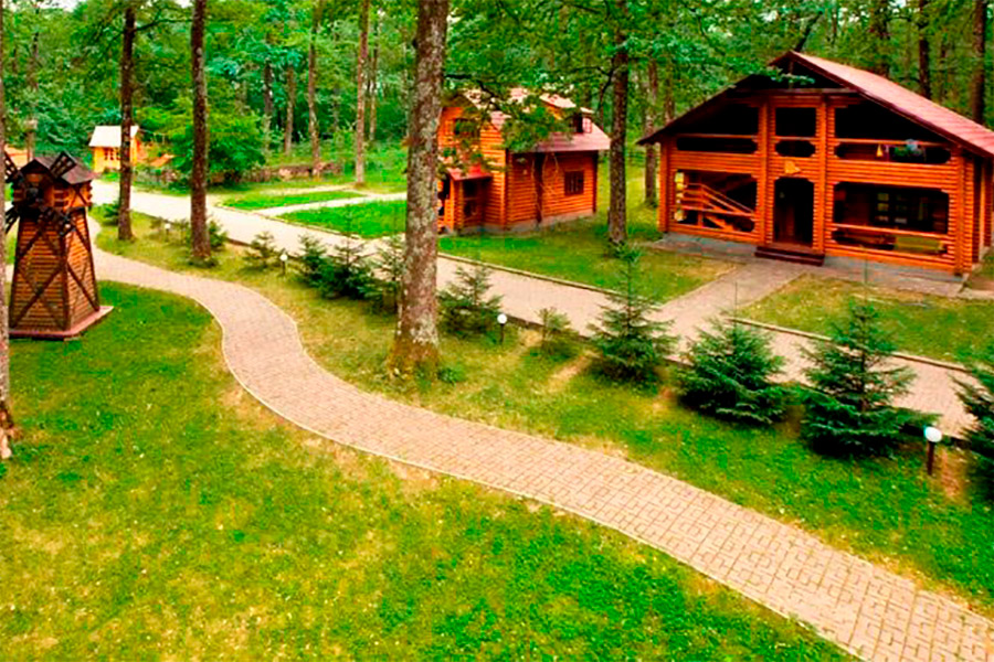 Куди відправити дитину? 10 літніх таборів у Карпатах для відпочинку з користю