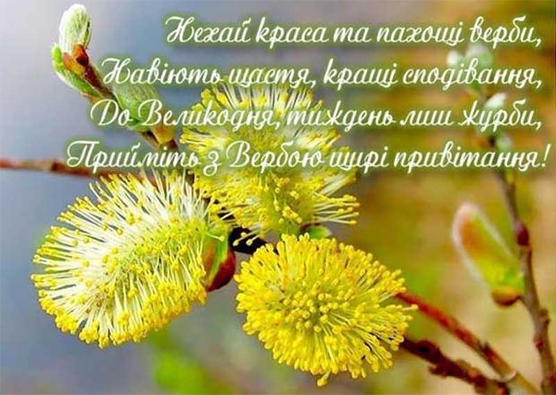Вербна неділя 2024: найкрасивіші привітання зі світлим святом