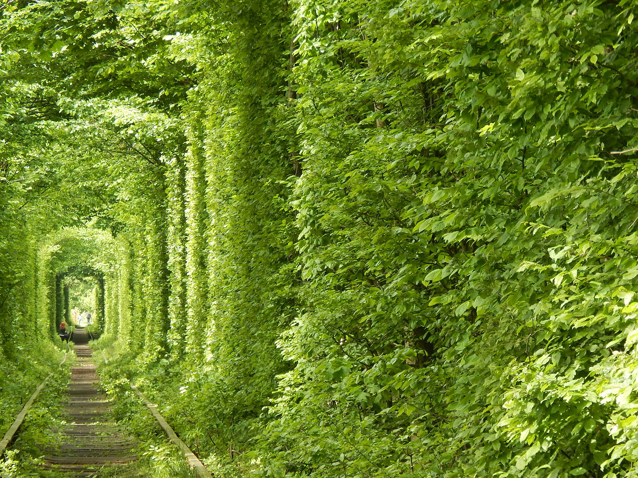 Двухколесные приключения. Лучшие веломаршруты Украины для всей семьи