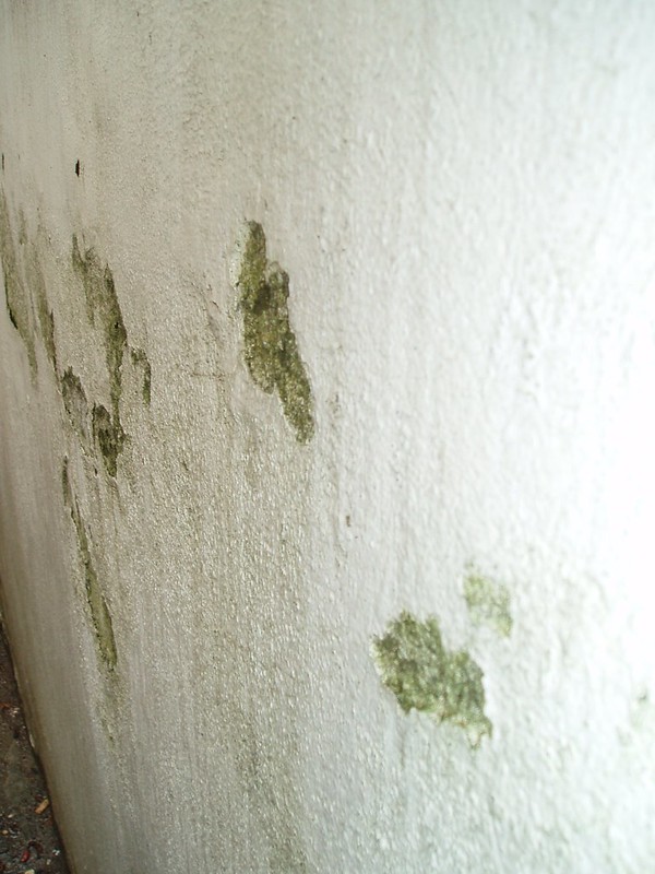 Як усунути найбільш неприємні види запахів вдома