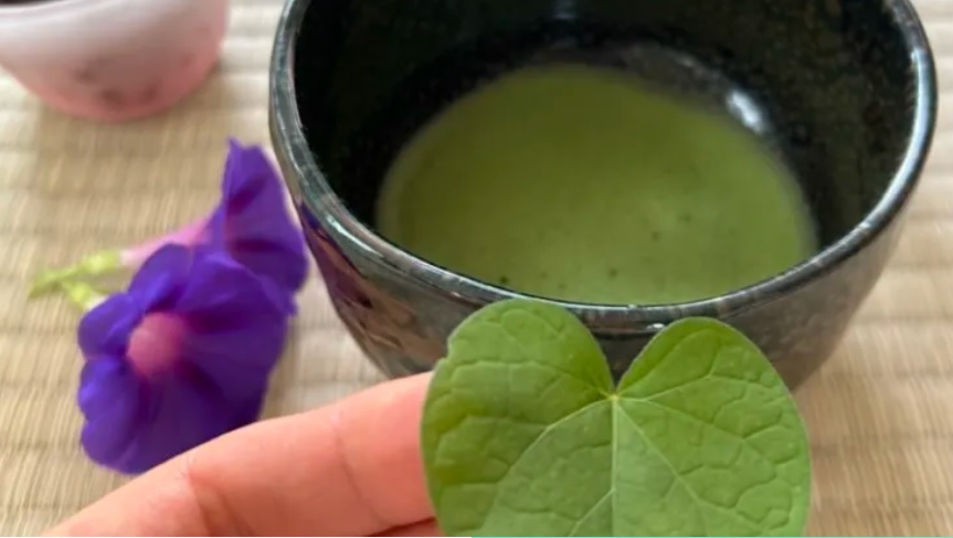 Японка з "блакитної зони довгожителів" назвала напій №1, який треба пити всім