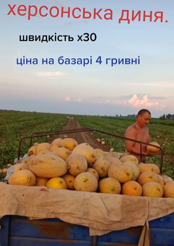 "Сердце разрывается": в Херсонской области спелые арбузы пропадают на полях (видео)