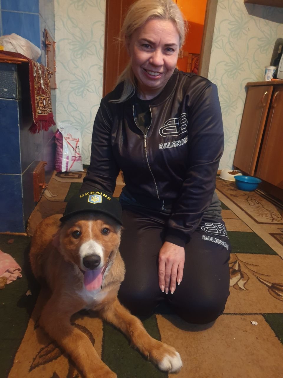 Тварини, які стали під час війни талісманами: хто залишиться у нашій пам'яті назавжди