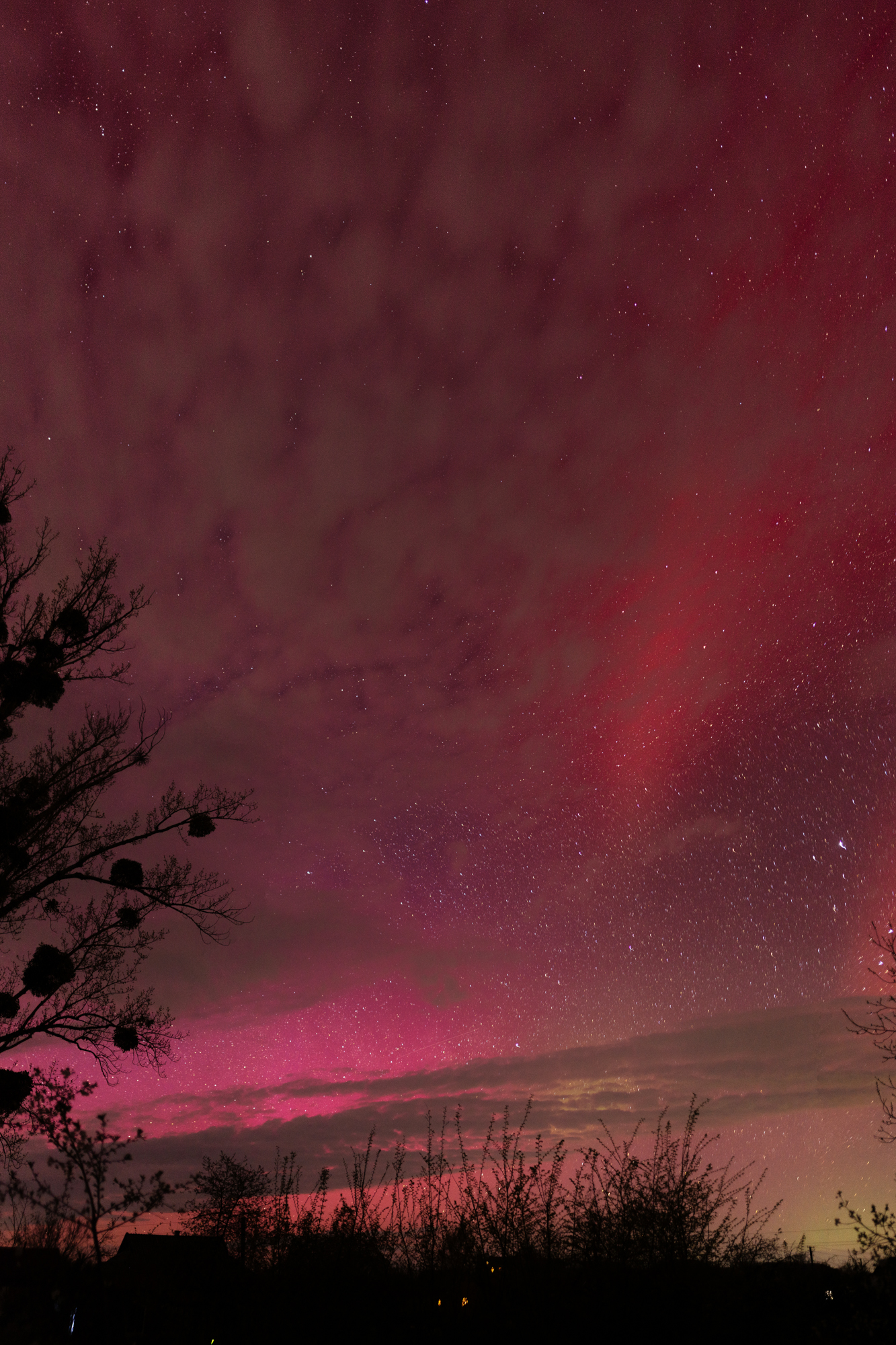 Украинцы наблюдали необычное полярное сияние: красочные фото странных аврор