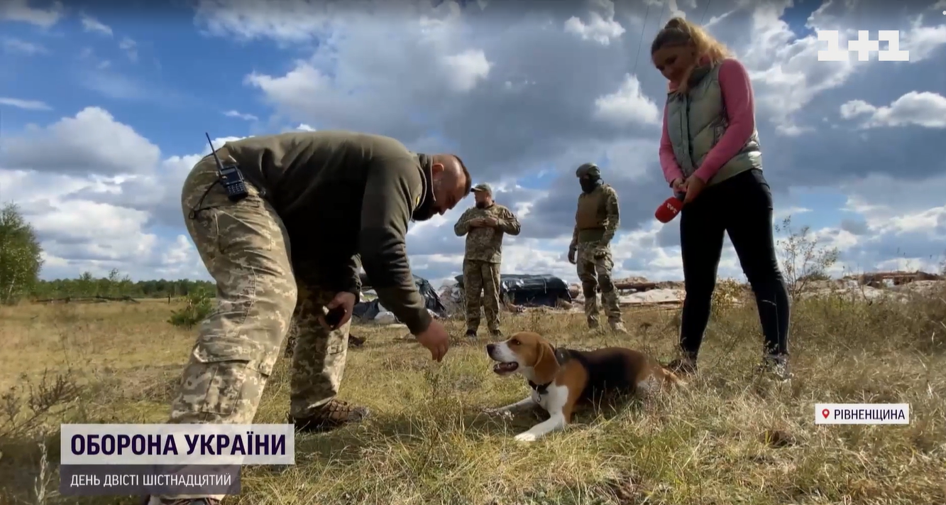 Краде шкарпетки та попереджає про наближення ракети: військові показали свого пса-талісмана