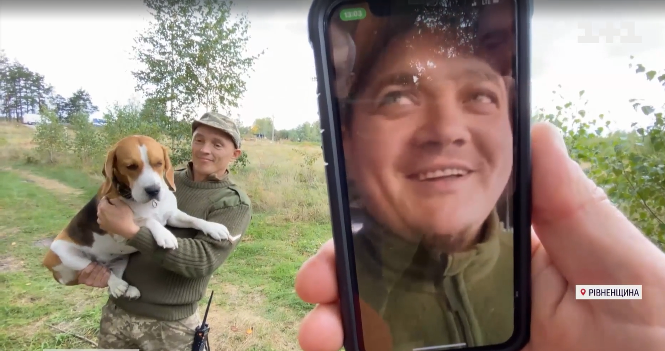 Краде шкарпетки та попереджає про наближення ракети: військові показали свого пса-талісмана