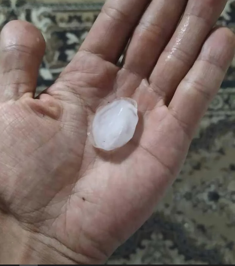 Украину накрыло мощным ураганом: деревья падали, как спички