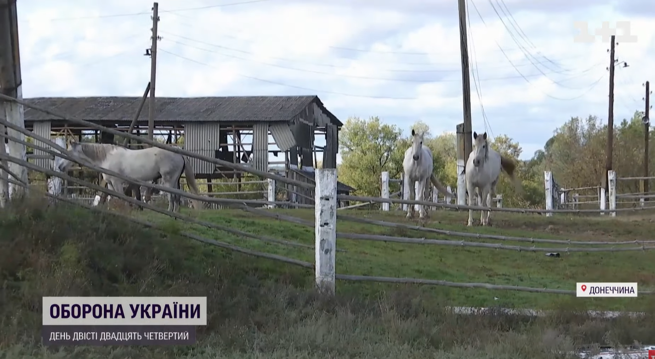 Мародерили, пьянствовали и требовали еду: украинцы рассказали, что оккупанты делали в Лимане