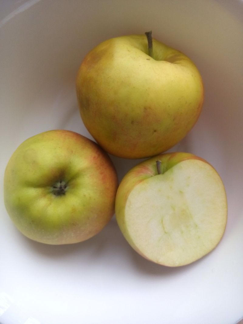 Идеальный пирог - это просто! Лучшие виды яблок для выпечки