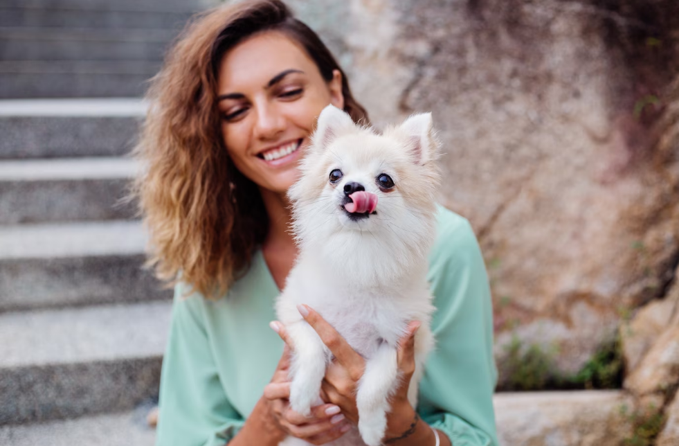 Ці породи собак найкраще підходять для квартири. Їх не треба вигулювати щодня!