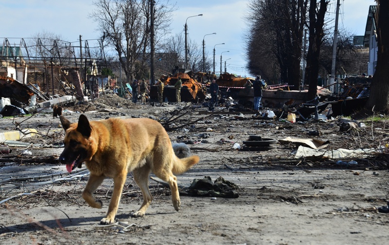 Мертвые и выжившие. Что пережили города под Киевом за время российской оккупации