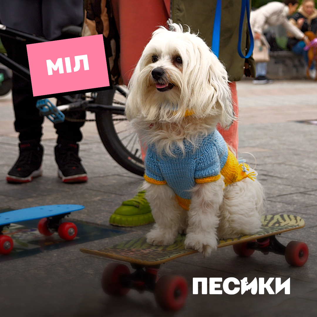 Дебют Лесі Нікітюк і особлива місія. Цікаві факти про фільм "Песики" і коли він вийде