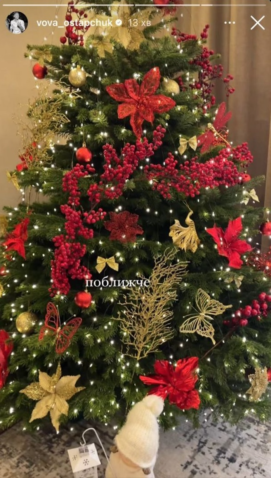 Як Решетніки, Дантес та інші українські зірки прикрасили свої ялинки до Різдва та Нового року