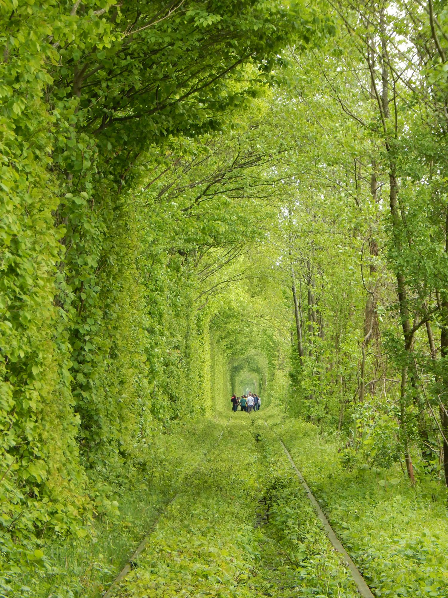 Легенди та краса природи. Чому варто побачити Тунель Кохання навесні