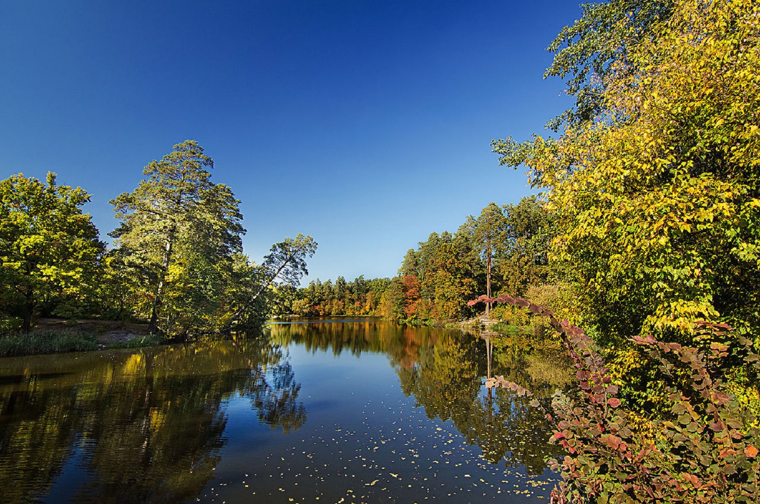 В какие 5 популярных мест Украины поехать в ноябре, когда там нет толп туристов