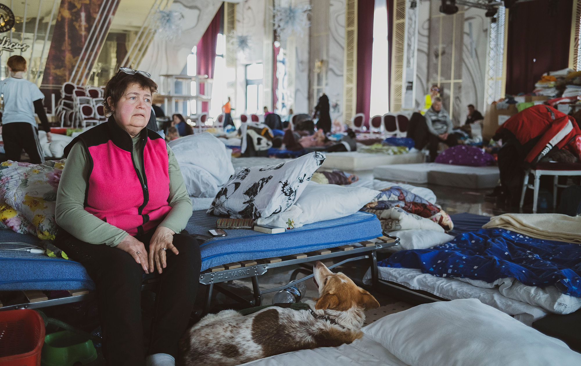 Дорога домой. Как вернуть в Украину беженцев из-за рубежа