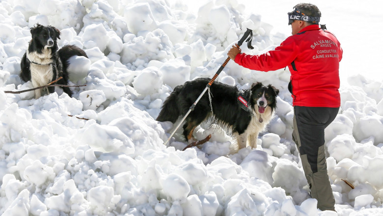 У Румунії вирує хуртовина: тисячі споживачів уже без світла