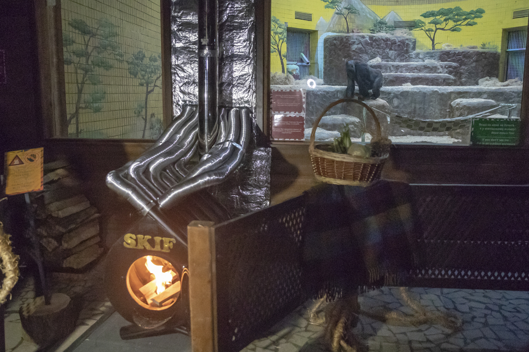 Ведмеді спали, а єноти не зрозуміли: як насправді звірі Київського зоопарку пережили ракетну атаку