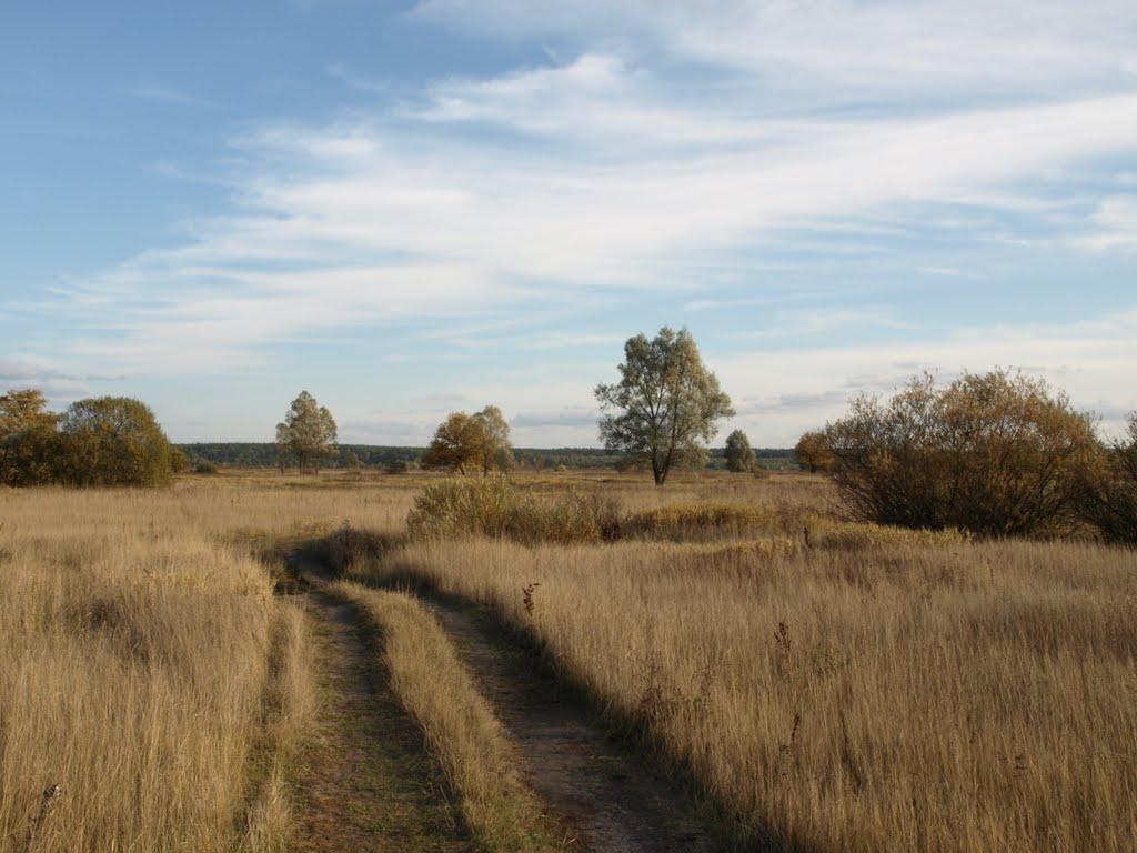 Выстояло в оккупации. Малоизвестное село на Киевщине, которое пытались захватить семь раз