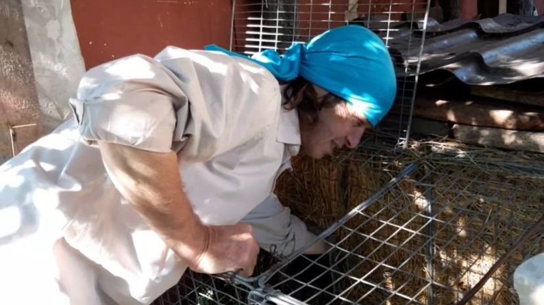 "Готовится отдыхать": сурок-прорицатель Тимко пережил оккупацию в Харьковской области