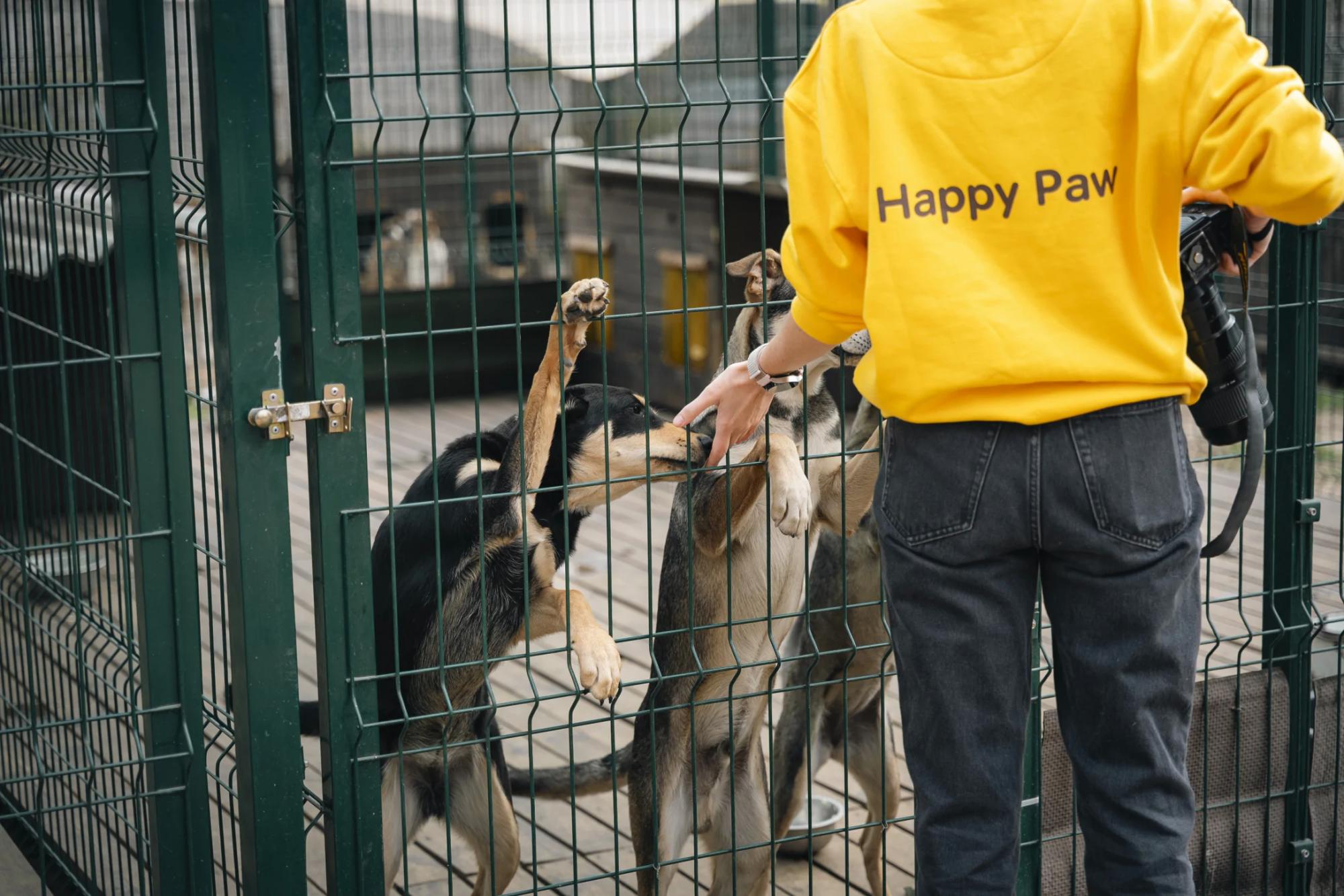 EVA та Happy Paw анонсували пʼятий спільний проєкт з допомоги тваринам у притулках