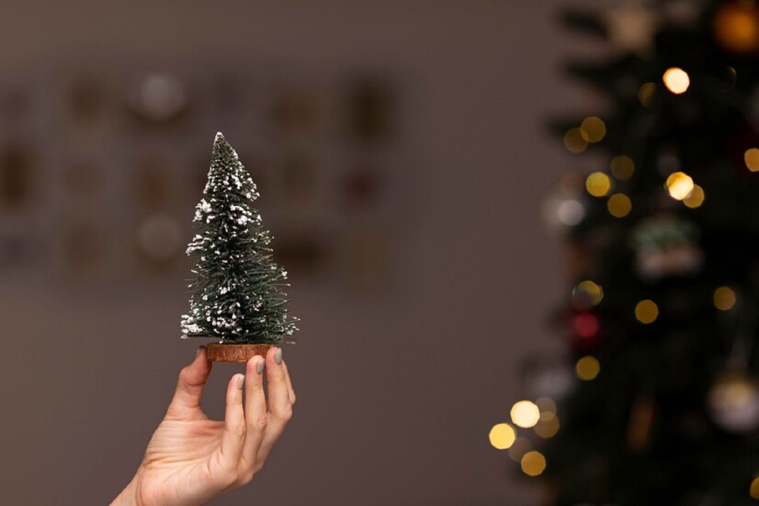 Якщо немає великої ялинки: як прикрасити кімнату хвойними гілками