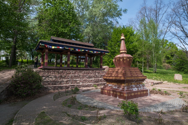 Бузок старіє, а кедр стане новим символом Києва, - Микола Шумик, Ботсад ім. Гришка