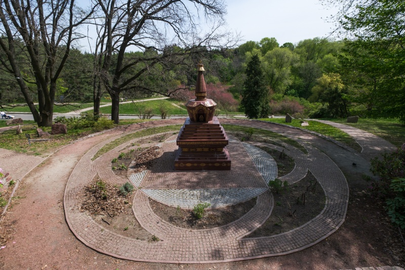 Бузок старіє, а кедр стане новим символом Києва, - Микола Шумик, Ботсад ім. Гришка