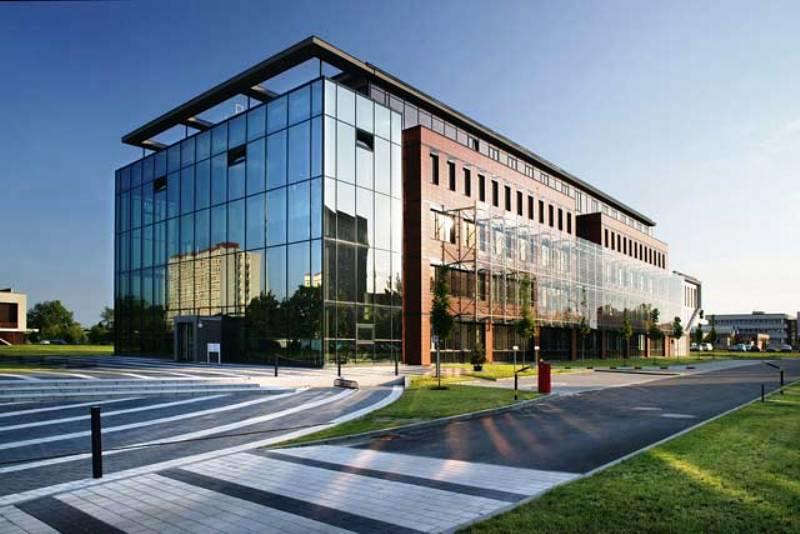 Безкоштовне навчання та робота. Як європейські університети допомагають українцям