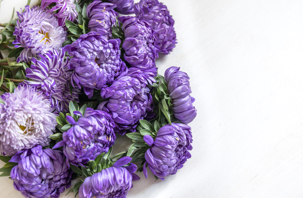 Які квіти дарувати жінці на свята та що вони означають (фото)