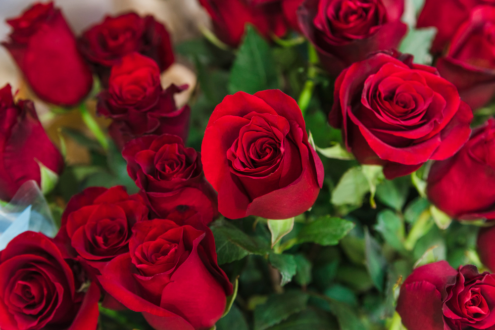 Які квіти дарувати жінці на свята та що вони означають (фото)