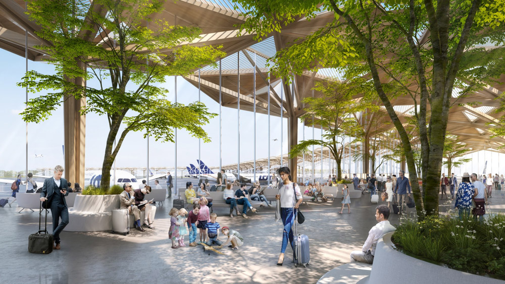 Плетений дах і дерева всередині. Як виглядатиме найбільший аеропорт Польщі