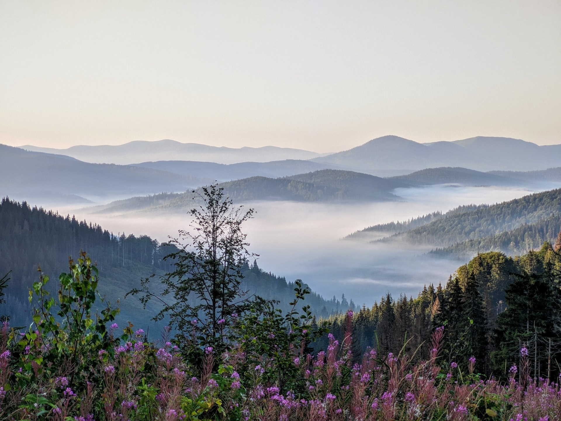 Самый тяжелый сезон. Стали известны потери туризма в Украине во время войны