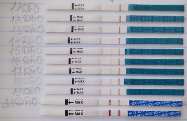 Когда делать тест на беременность, чтобы получить самый точный результат