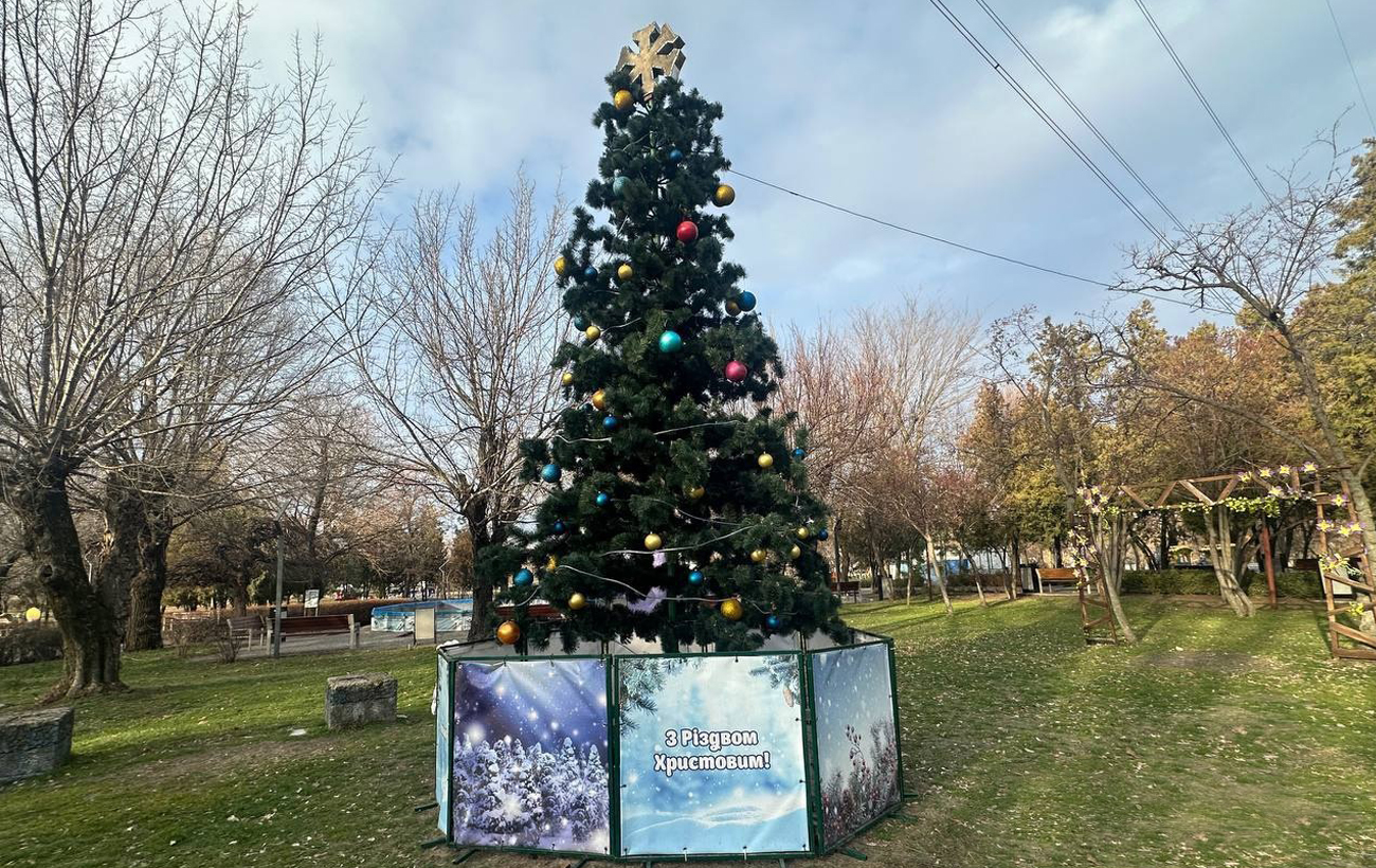 Новый год 2025. Как выглядят главные елки в разных городах Украины (фото)